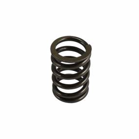 Valve spring Type 4 - 2000cc (1pc)